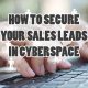 How To Secure Your Sales Leads In Cyberspace